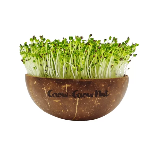Grow-Grow Nut Začetni paket Microgreens