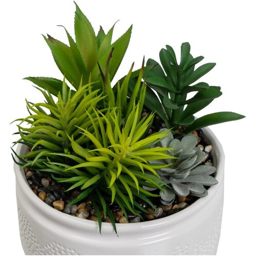 Casa Selecci&amp;oacute;n Umetne rastline v kompletu 2 ks (vi&amp;scaron;ina 19 cm) Cactus &amp;ndash; Slike