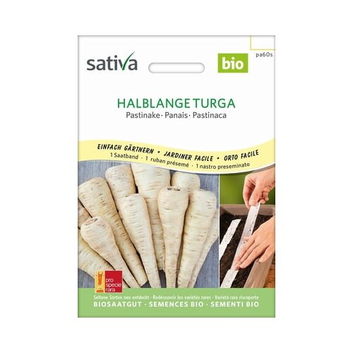 Sativa Pastinak, srednji Turga semenski trak Slike