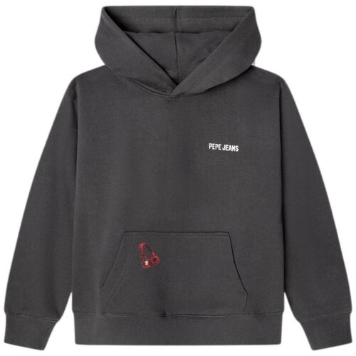 PepeJeans Puloverji PB5800078 987 Siva Slike