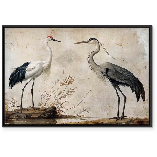  Slika - Birds from an old engraving - vintage-style illustration depicting a heron and a crane 60x40 U crnom drvenom okviru Slike