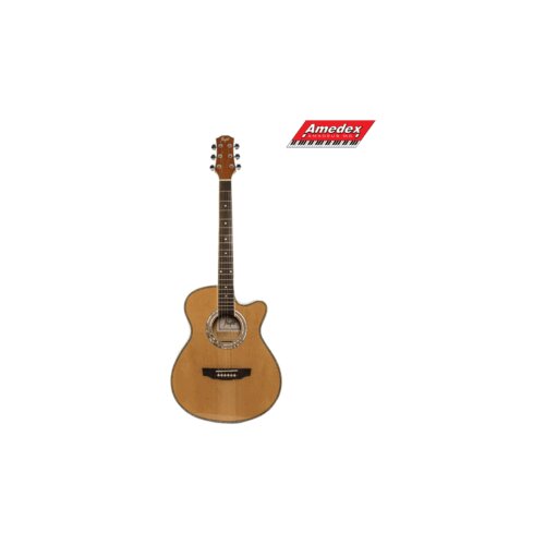  GITARA AK. FLIGHT F230C NAT Cijene