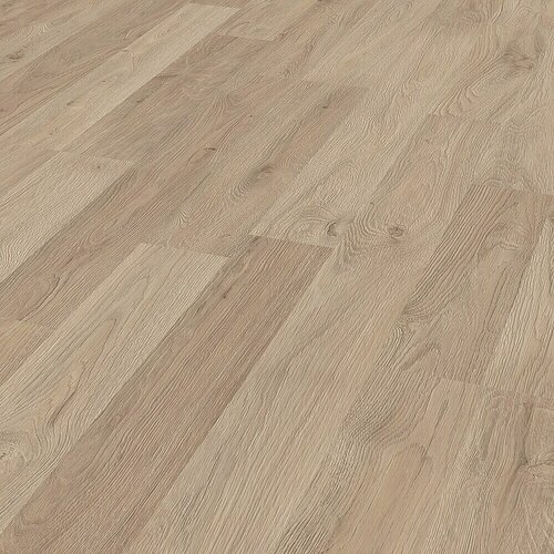  Laminat (1.288 x 195 x 8 mm, Svetli hrast) Cene
