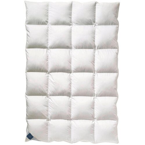 Billerbeck poletna odeja nena superlight 135-140/200 cm Cene