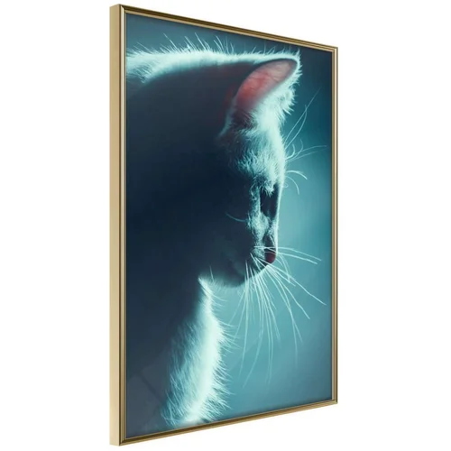  Poster - Adorable Furball 20x30