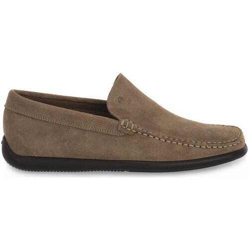 Frau Modne superge CASTORO AVENA Bež Slike