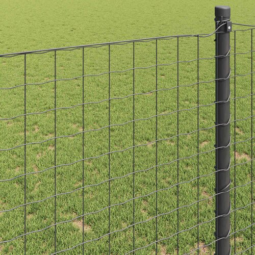 Euro ograda Siva 1,2 x 25 m Željezo prekriveno PVC-om Slike