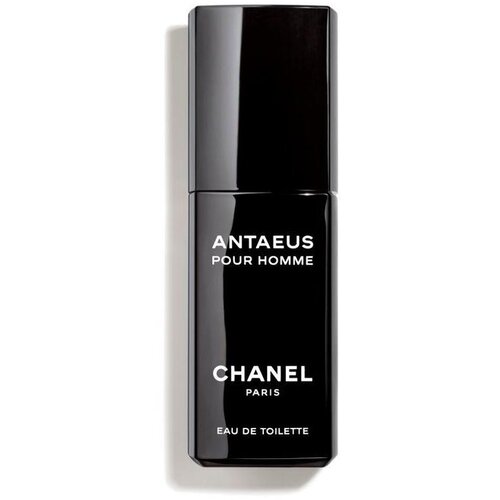 Chanel Antaeus Pour Homme toaletna voda 100 ml Tester za mo&amp;scaron;ke Slike