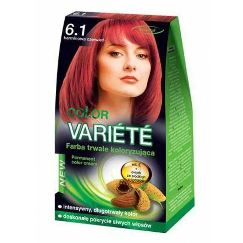 Chantal Inovativna trajna boja za kosu VARIETE - 6.1 50g