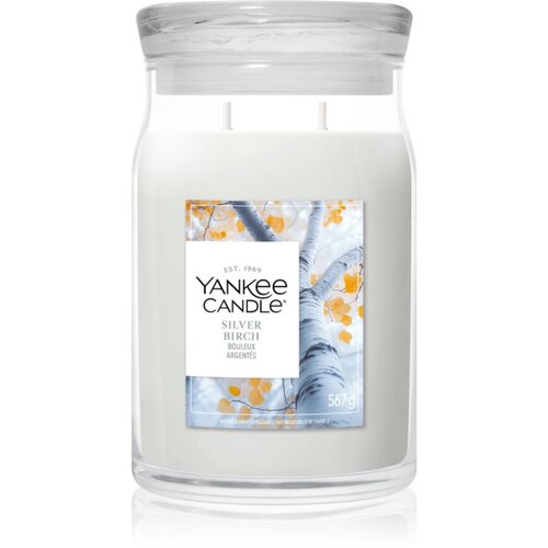 Yankee Candle Silver Birch di&amp;scaron;eča sveča 567 g Slike