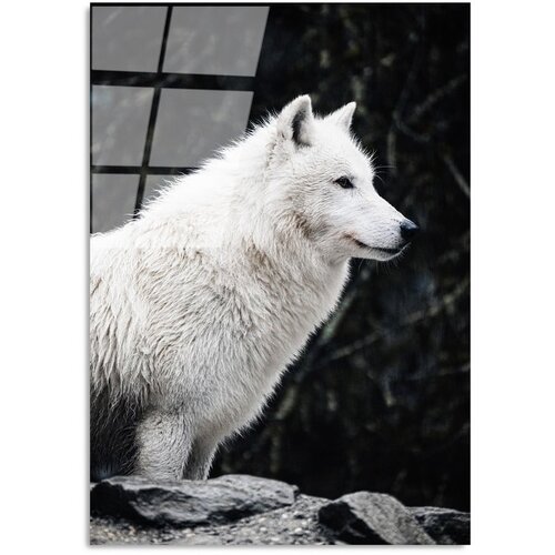 Wallity slika UV-161, 70 x 100 cm Cene