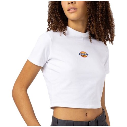 Dickies MAPLE VALLEY REG TEE Bijela Cijene