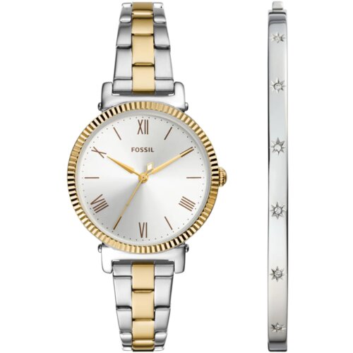  Ženski sat FOSSIL &ndash; Model: F-ES5249SET Cijene