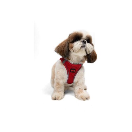 Paws & Whiskers Am za pse Air Mesh Red L Cene