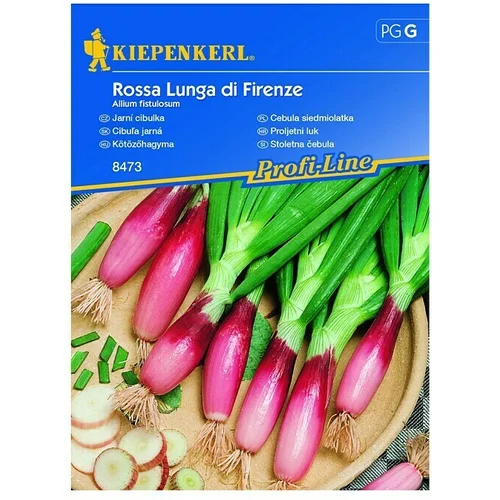 KIEPENKERL Profi-Line Sjeme povrća Mladi luk Rossa Lunga di Firenze (Allium fistulosum, Berba: Srpanj, 3 m²)