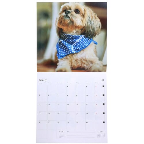 Biro time Yearly 30, zidni kalendar, 30x30cm, 14 lista, pas Cene