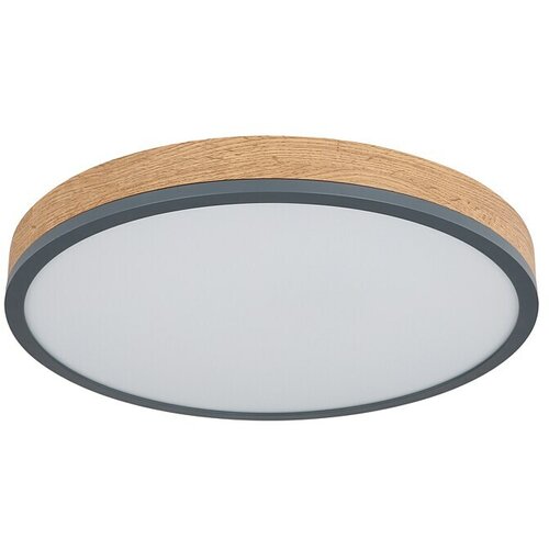 Globo Doro Okrugla stropna LED svjetiljka (24 W, Promjer: 45 cm, Topla bijela) Cijene