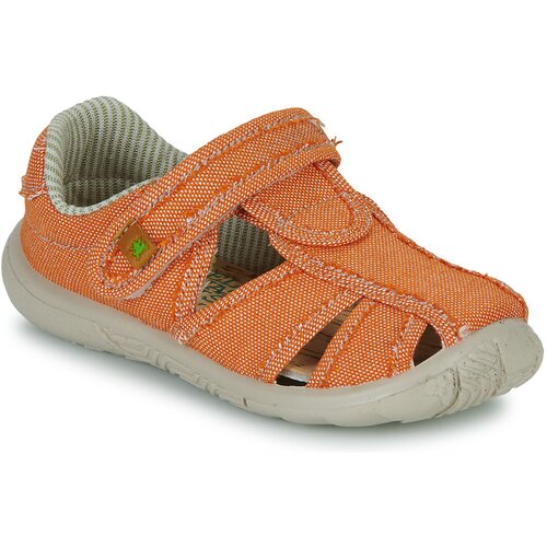 El Naturalista NT74196-TERRACOTA Narančasta Slike