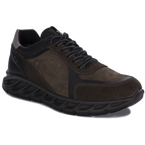 IgI&CO 6641322 Smeđa Cijene