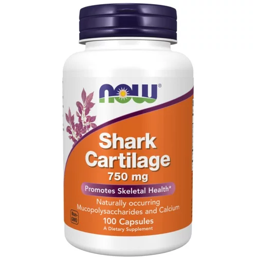 Now Foods Hrustanec morskega psa NOW, 750 mg (100 kapsul)