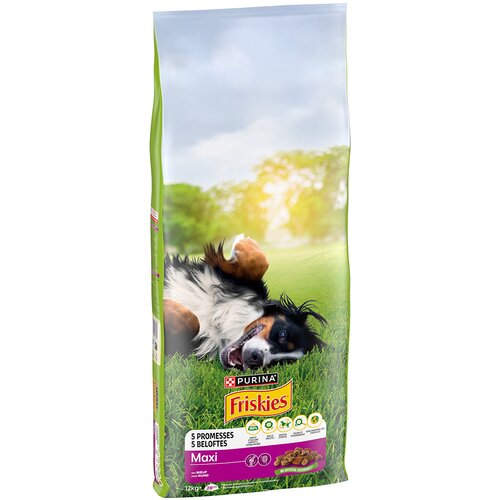 Purina Friskies Adult Large Breed Dog Maxi s govedinom - 2 x 12 kg Cijene