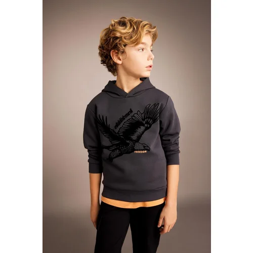 Defacto Boy's Printed Hooded Thick Sweatshirt