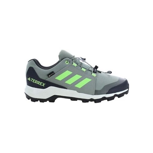 Adidas Terrex Gtx K Siva Slike