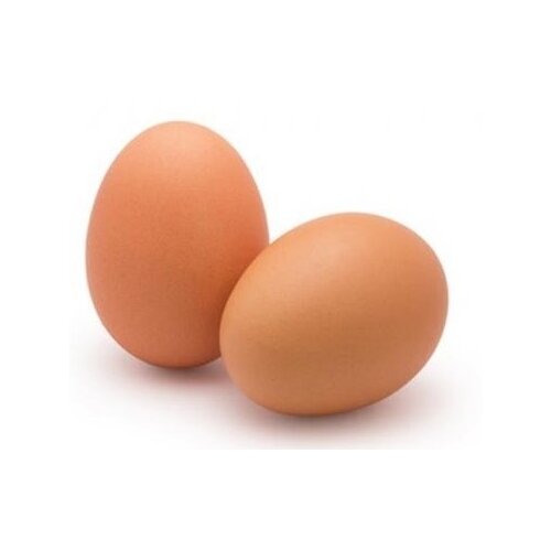  Jaja klasa L 10kom Cene