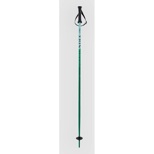 Völkl Phantastick 2027 Kids Ski Poles green Cene