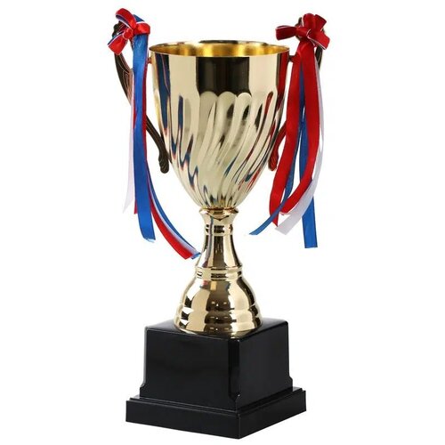 Winner 20, pehar, metalni, 29,5cm ( 701222 ) Cene