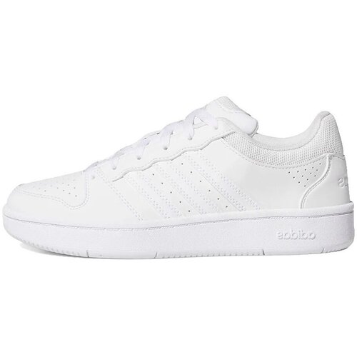 Adidas Nizke superge Baskets Hoops Classic synth&amp;eacute;tique Bela Slike