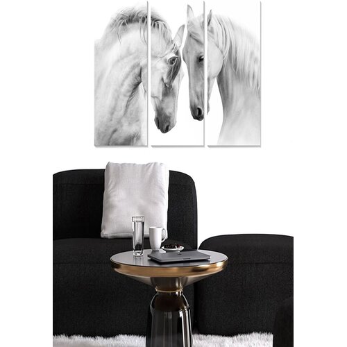 Wallity Set slika MDF777861169, 3 dijela Cene