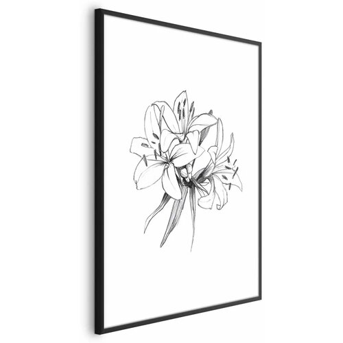  Plakat Drawn Flowers 29.7x42 Crni okvir s margom Cene