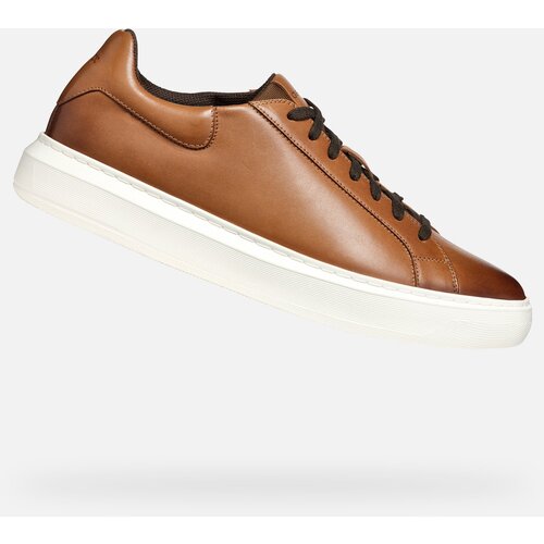 Geox Brown men's sneakers Deiven - Men's Cene