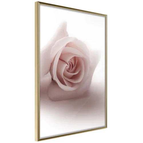  Poster - Subtle Flower 20x30