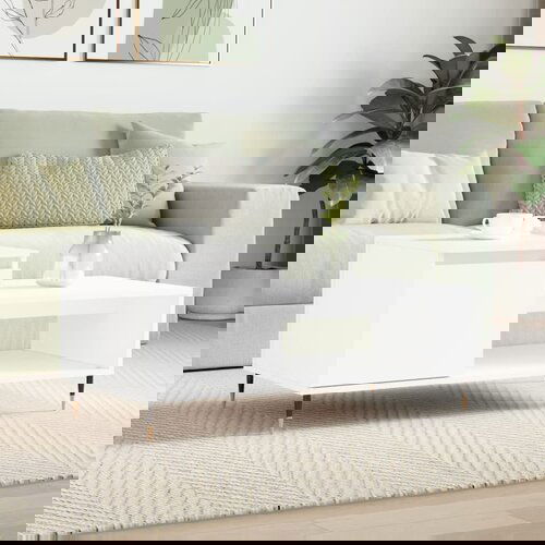 VidaXL Klubska mizica Bela 100x50x45 cm inženirski les Slike