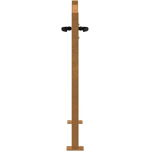 Vrtna vrata 100x100 cm Corten čelik Slike
