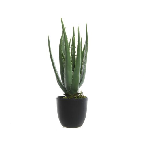 STIL Umjetna biljka Decoris Aloe Vera u posudi Cijene