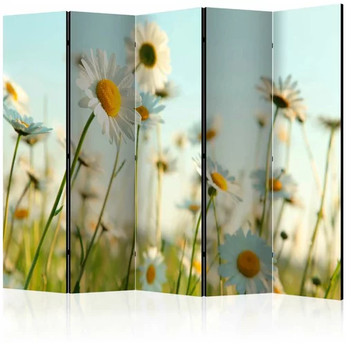 Paravan u 5 dijelova - Daisies - spring meadow II [Room Dividers] 225x172