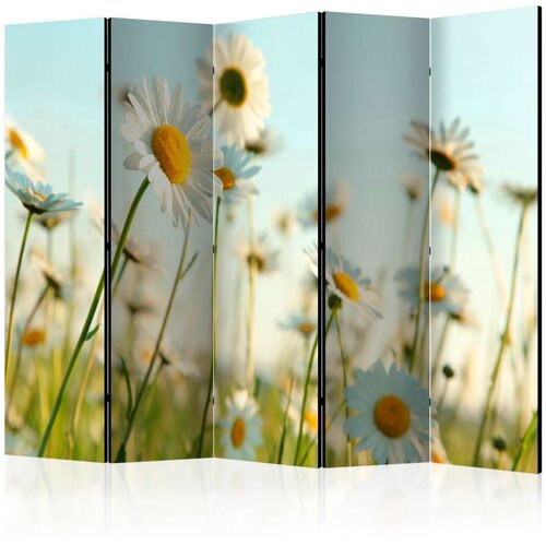  Paravan u 5 dijelova - Daisies - spring meadow II [Room Dividers] 225x172 Slike
