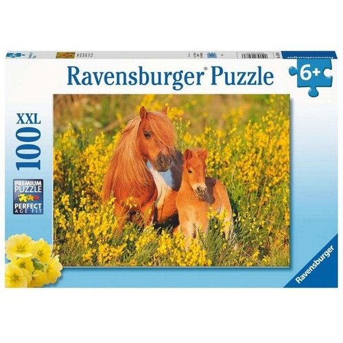 Ravensburger puzzle - shetland pony - 100 delova Cene