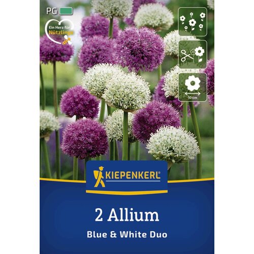 KIEPENKERL Okrasni luk "Mix Blue & White" - 2 k. Cene