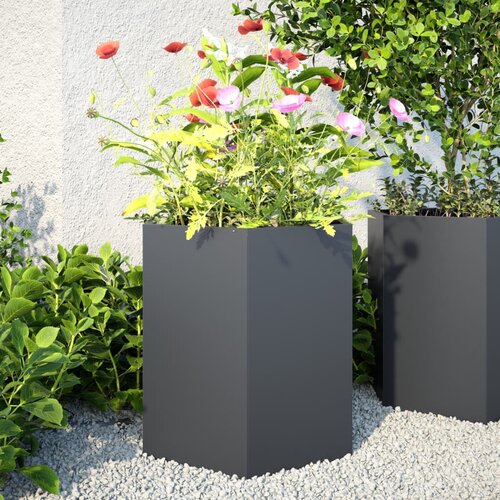 vidaXL Vrtno korito 2 kosa antracit šestkotnik 46x40x45 cm jeklo Cene