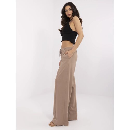 RELEVANCE Sweatpants-RV-DR-A591.18-dark beige Cene