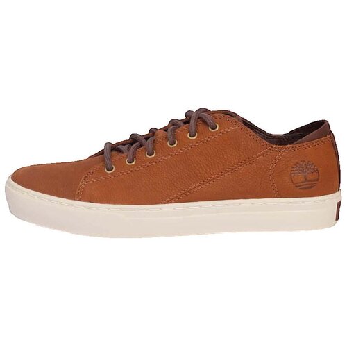 Timberland Modne superge Baskets Nike Air Max cuir Rdeča Cene