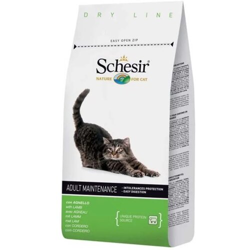 Schesir hrana za mačke jagnjetina 400g Cene