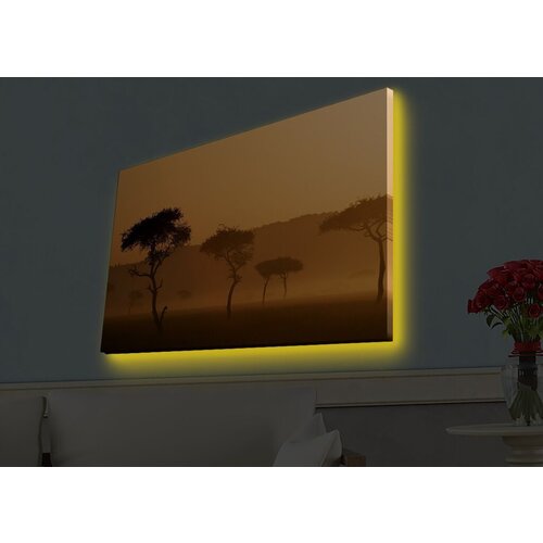 Wallity Slika sa LED osvetljenjem 4570HDACT-004, 45x70 cm Cene