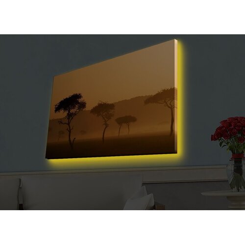 Wallity Zidna slika sa LED osvetljenjem 4570HDACT-004, 45x70 cm Cijene