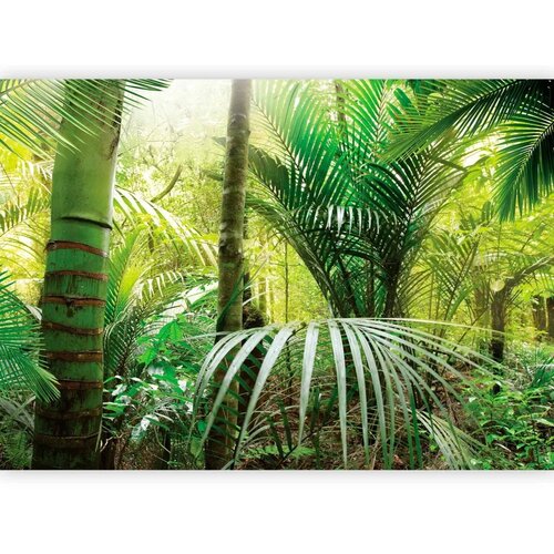 Foto tapeta - Green alley 300x210 Cijene
