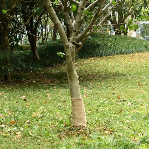  Rola jute 0,25x100 m 100 % juta 200 g/m&amp;sup2; Slike